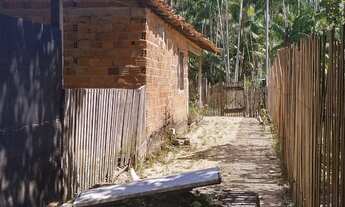 Imagem 7: Vende-se sítio com casa pra mora