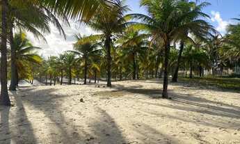 Imagem 6: TERRENO PÉ NA AREIA - FRENTE MAR