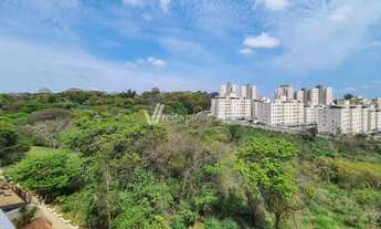 Imagem 6: Apartamento - Jardim Nova Europa - Campinas