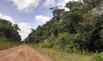 Imagem 5: Terreno com igarapé