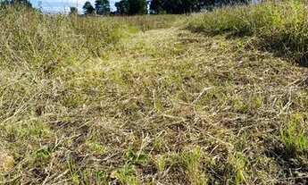 Imagem 4: LOTES A PARTIR DE 500m²