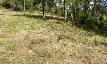 Imagem 3: Lindos sítios na serra