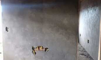 Imagem 7: CASAS EM CONSTRUÇÃO Á VENDA NA AVENIDA PRINCIPAL DO PLANO DE VIDA COM 3 QUARTOS POR 175 MI