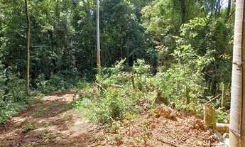 Imagem 2: Sítio no bairro Bugre em Canela!