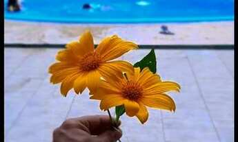 Imagem 6: Alugo chácara para temporada na região de Morros