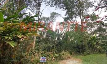 Imagem 2: Excelente terreno na Serra da Cantareira, documentação em ordem e estuda proposta