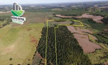 Imagem 2: 8,5 Alqueires a venda em Cornélio Procópio- BR-369