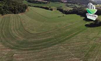 Imagem: 8,5 Alqueires a venda em Cornélio Procópio