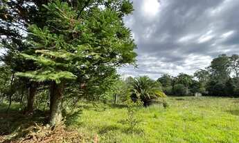 Imagem 2: Sítio De Barbada Só R$ 19.900 - E Ainda Parcelo Direto. ROB:403