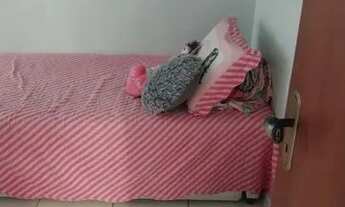 Imagem 6: AÉQUITAS VENDE APARTAMENTO PECHINCHA SALA 2 QUARTS GARAGEM ACEITA FINANCIAMENTO