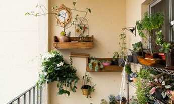 Imagem 7: Apartamento à Venda - Vila das Mercês, 2 Quartos, 64 m2