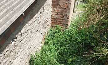 Imagem 4: Leia a descrição