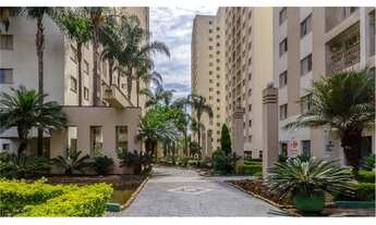 Imagem 3: APARTAMENTO 3 DORM. - VILA MORUMBI