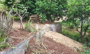 Imagem 7: DOIS IRMãOS - Casa Padrão - Industrial