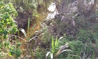 Imagem 3: Fazenda/Sítio/Chácara para venda com 25000 metros quadrados com 2 quartos