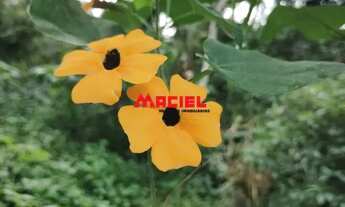 Imagem 4: Casa Padrão em Paraty