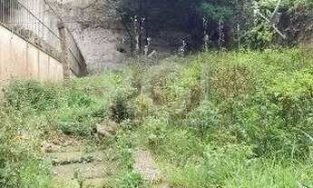 Imagem 2: Terreno em Auxiliadora