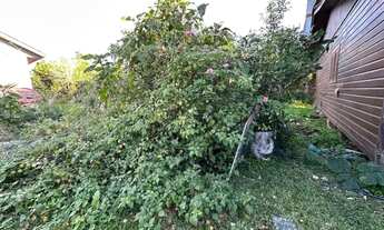 Imagem 5: Terreno - Bairro Vila Dante