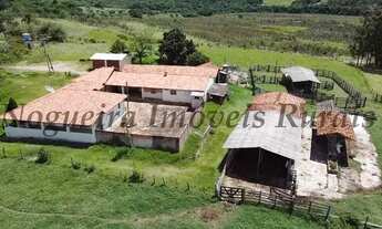 Imagem 16: Fazenda em Itapetininga, rica em água (Nogueira Imóveis Rurais