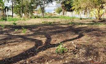 Imagem 5: Terreno para rancho em Aparecida do Taboado ms