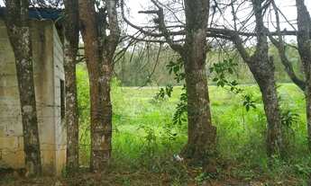 Imagem 3: Terreno em Igaratá - Boa Vista