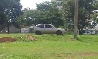 Imagem 4: Lote comercial na avenida Samambaia sul