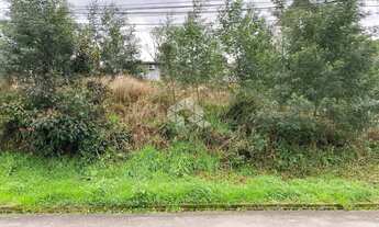 Imagem 5: Terreno central em Nova Patrópolis RS