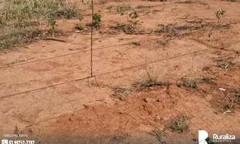 Imagem 6: FAZENDA EM JOÃO PINHEIRO-MG