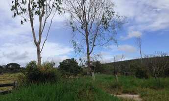 Imagem 6: Fazenda 3.750 hec em Lucialva MT. 200 hec abertos, 20 milhões