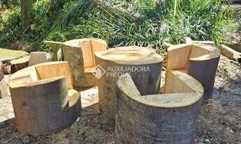 Imagem 5: Grande área no bairro Olaria