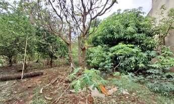 Imagem 2: Terreno padrão para venda no Bairro City, em Ribeirão Preto/SP
