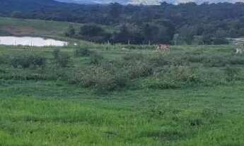 Imagem: FAZENDA 354 ALQUEIRES COLINAS DO SUL (GO
