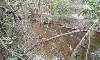 Imagem 7: Sítio maravilhoso na beira do ribeirão