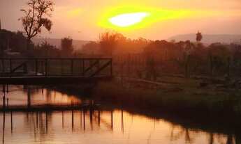 Imagem 2: Sítio em Conchal