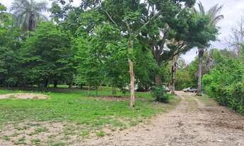 Imagem: Chácara de 5 hectares na região da comunidade