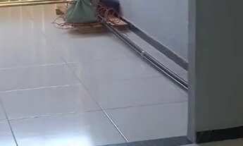 Imagem 4: Casa Casa com 2 dormitórios