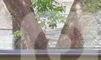 Imagem 6: Apartamento 2 quartos na Tijuca: Conforto, Sol da Manhã e a 7 min do Metrô!