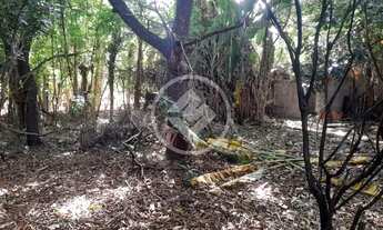 Imagem 5: Sitio a Venda no Bairro Doutor Lund codigo: 152705