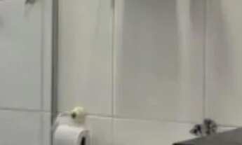 Imagem 4: Apartamento 3/4 lauro de freitas , jardim Pitangueiras lauro de freitas