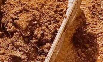 Imagem 4: Condomínio Jardins Lotes Entrada R$3.069