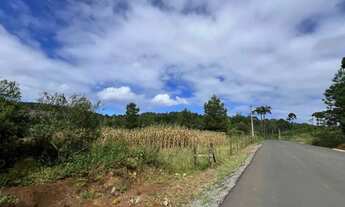 Imagem 2: Terreno - Bairro Caracol