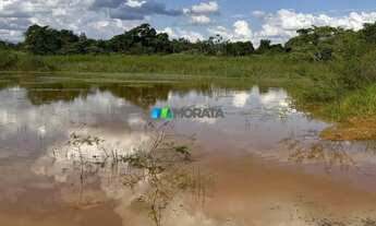 Imagem 7: FAZENDA À VENDA - 444 HECTARES - MORRO DA GARÇA (MG
