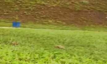 Imagem 3: Lote/terreno Jardins Nápoles, Senador Canedo