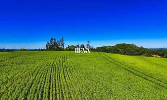 Imagem 2: Terreno para chácara com 30.000 de area de plantio