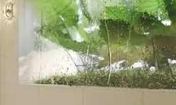 Imagem 3: Apartamento à venda Solo Vaca Brava