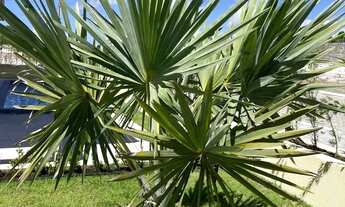 Imagem 6: Casa de Alto Padrão Condomínio Villas de Carapaibus - C/108m² 3 Quartos, 1 Suíte, 02 Rever