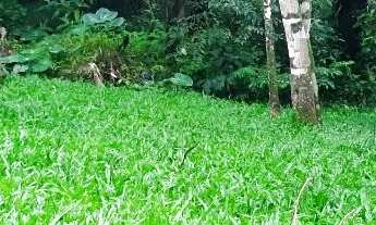 Imagem: Vendo lindo Lote/Terreno com RGI