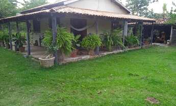 Imagem 3: VENDO!!! Um sítio de 20 hectares com ótima logística na região da cidade de Rosa