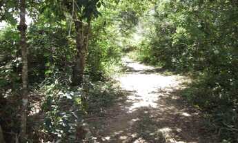 Imagem: Linda chácara de 2.500 m², com nascente