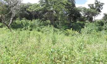 Imagem 2: Linda chácara de 2.500 m², com nascente a 100 metros do Rio Cipó (Temos varias opções)